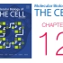 《细胞的分子生物学》第12章 细胞内隔室和蛋白质分选 配套视频（字幕重制版）