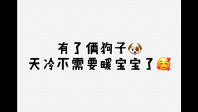 啥叫社会 c294e02a3c4f765d195000d774dc96cb804f3e06.jpg@280w_158h_1c_100q.jpg