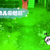 幼儿园魅影