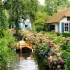 荷兰小镇，没有公路和汽车，人们专注享受自然慢生活！