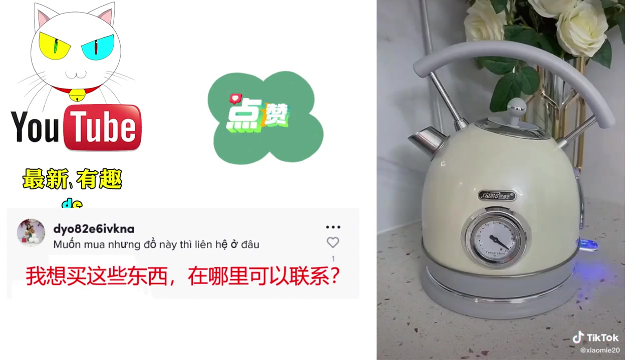 TikTok上的中国败家娘们  外国人：中国制造都很棒