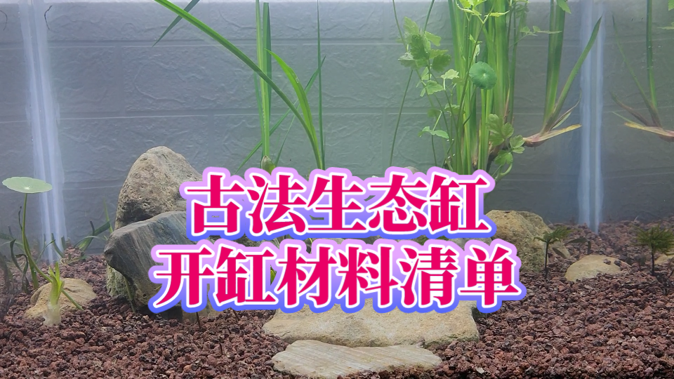 只需三四样东西，轻松开古法生态缸，无过滤古法鱼缸开缸材料清单来啦！三无鱼缸开缸要用哪些材料？新手养鱼开缸视频教程，火山石生态乌龟缸鱼缸开缸材料清单，鸫龟先生视频