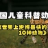 美国儿童科普动画FreeSchool(中文配音版) - 第4集 世界上跑得最快的10种动物