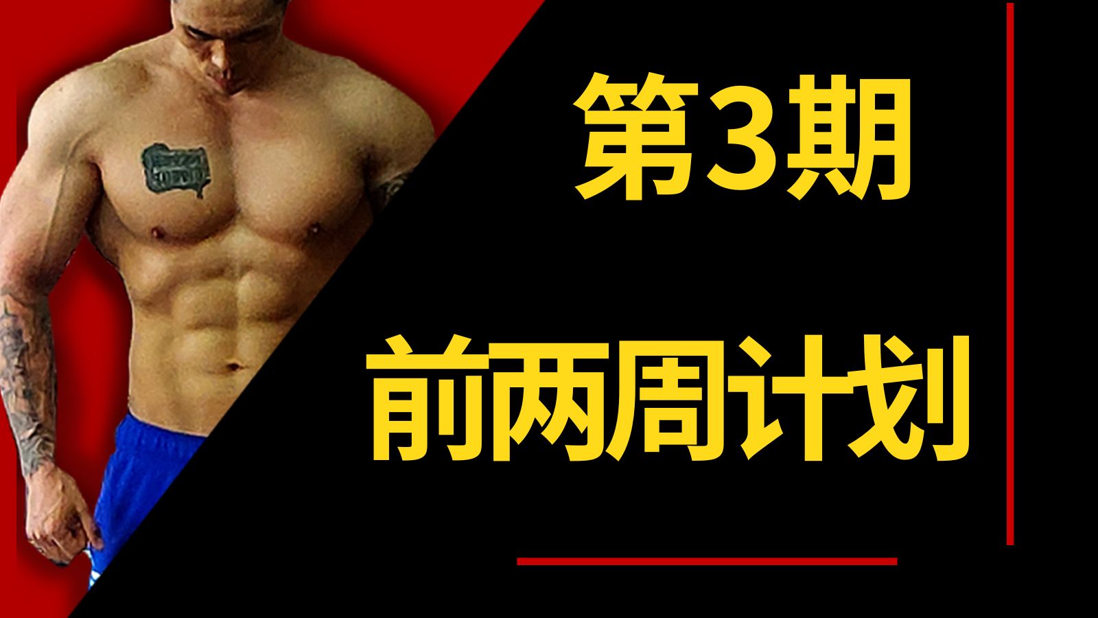 卧推系列③——训练计划前两周