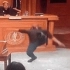 请不要在法庭上跳舞！！！