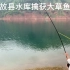 洛宁县西子湖游钓，意外收获大草鱼一尾