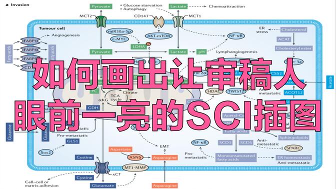 【创意科研绘图】如何画出让审稿人眼前一亮的论文插图