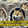 DOGE 鲸鱼抢购 5.3 亿枚狗狗币，狗狗币价格有望反弹至 0.30 美元