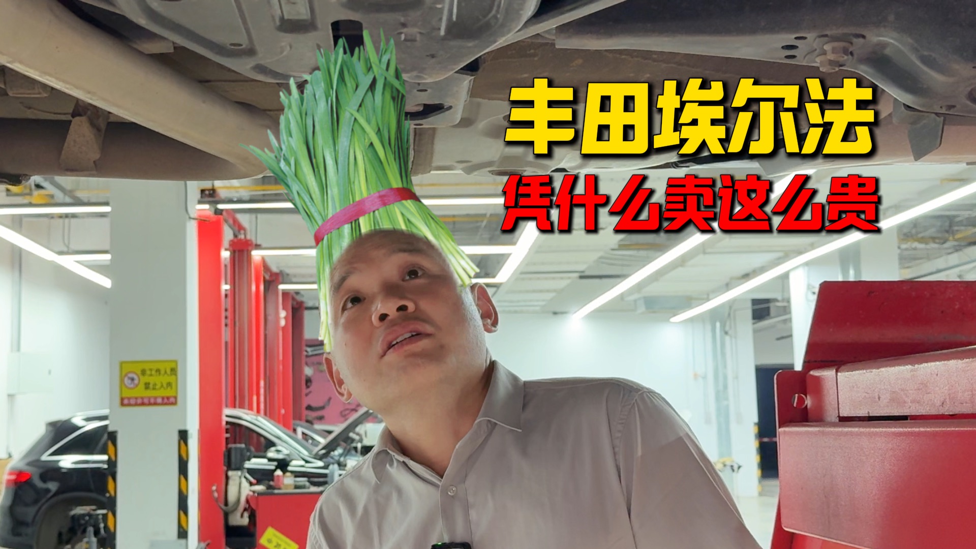 100万你们是选择丰田埃尔法还是国内的遥遥领先？