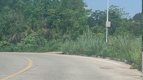 快速加减档正确操作方法 c2e2dc7a9328de35c1014055938ba8345f4ca6de.jpg@280w_158h_1c_100q.jpg