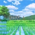 周杰伦经典歌曲《稻香》配上宫崎骏的动漫电影MV，打开了童年回忆