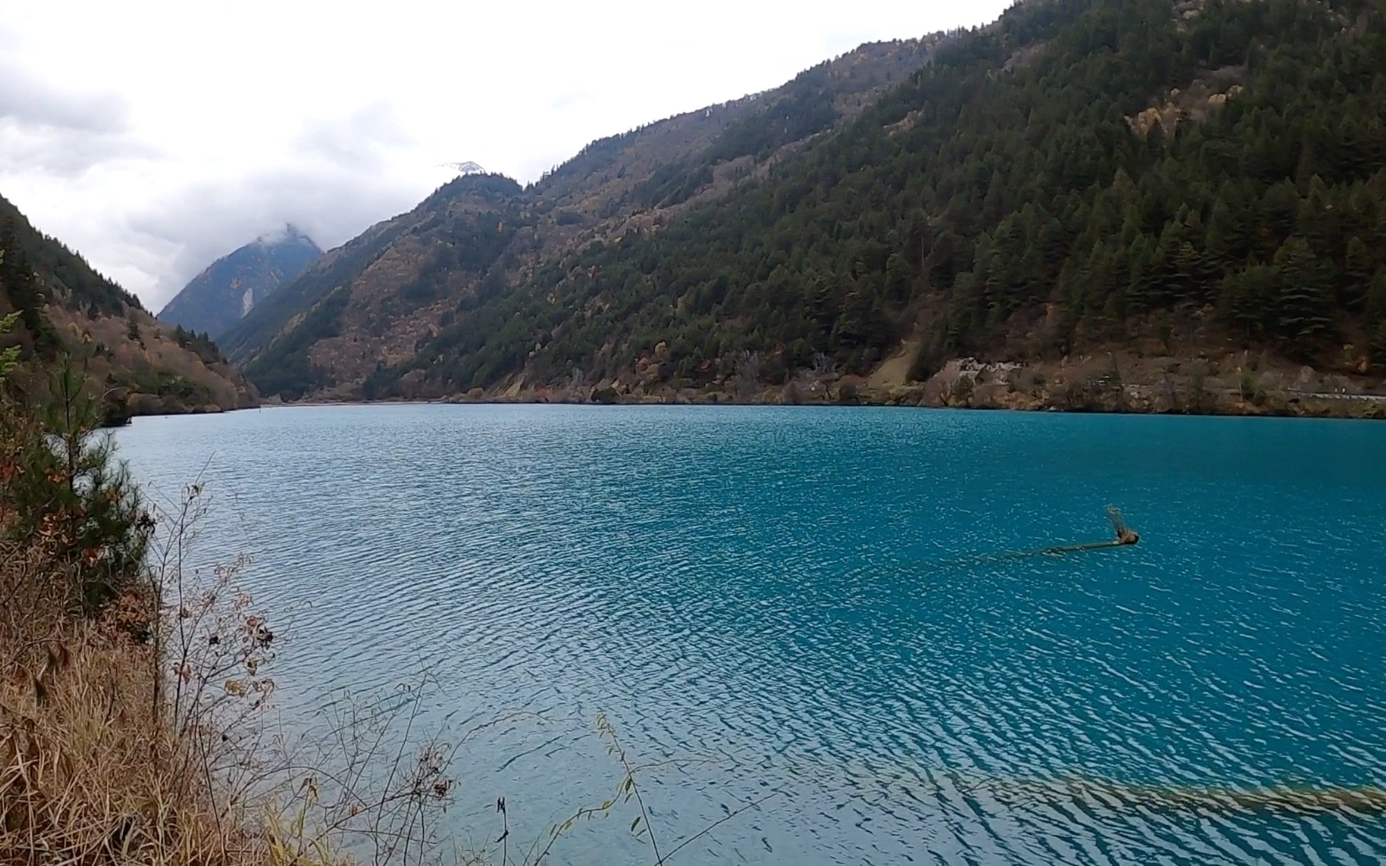 实拍九寨沟犀牛海美景