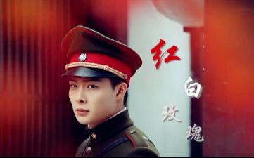 【红白玫瑰】 启副/四副 有肉渣渣