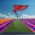 2020广告片大赏丨LG电视视觉系短片《看见世界的色彩》