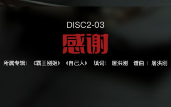 【黑胶CD翻录】DISC2-03《感谢》屠洪刚