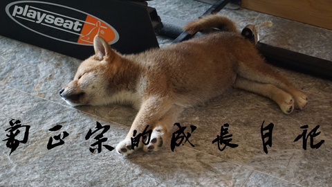 c3359d93e05fcc870691f37979fdcb695343fdca.png@480w_270h_1c
