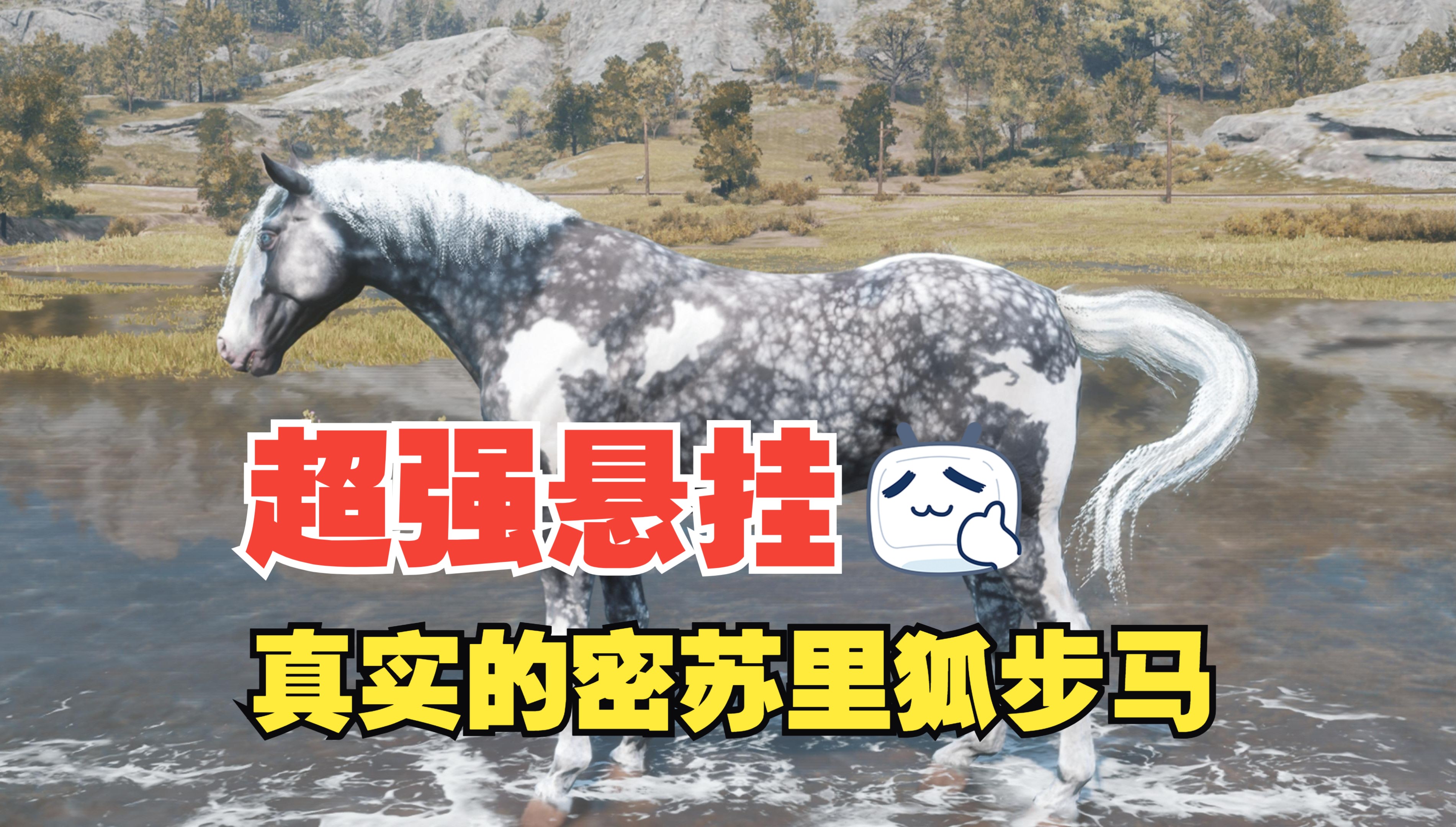 【荒野大镖客2】马匹图鉴：超强平衡悬挂，密苏里狐步马