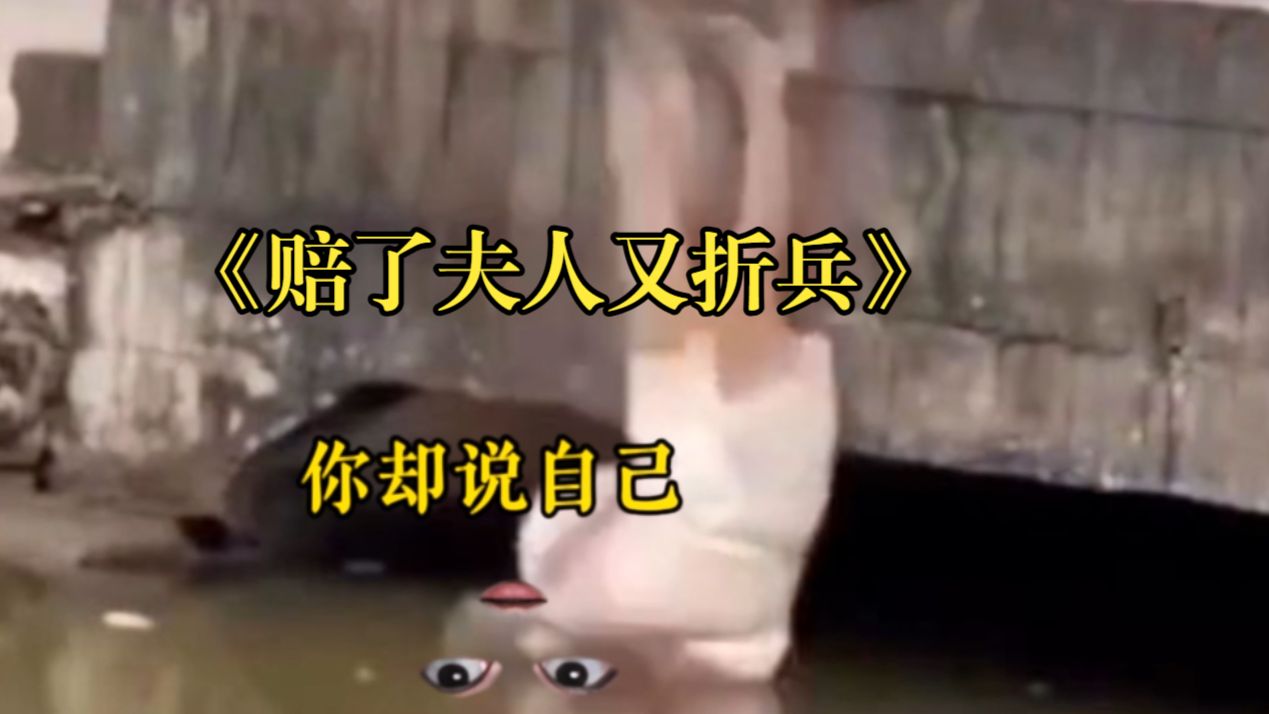 IPx的粉红豹