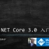 ASP.NET Core 3.x 入门视频（完结）