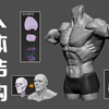 【人体结构解剖】全网最详细的”人体知识 “，从骨骼，肌肉，人体从讲解到雕刻全系列教程