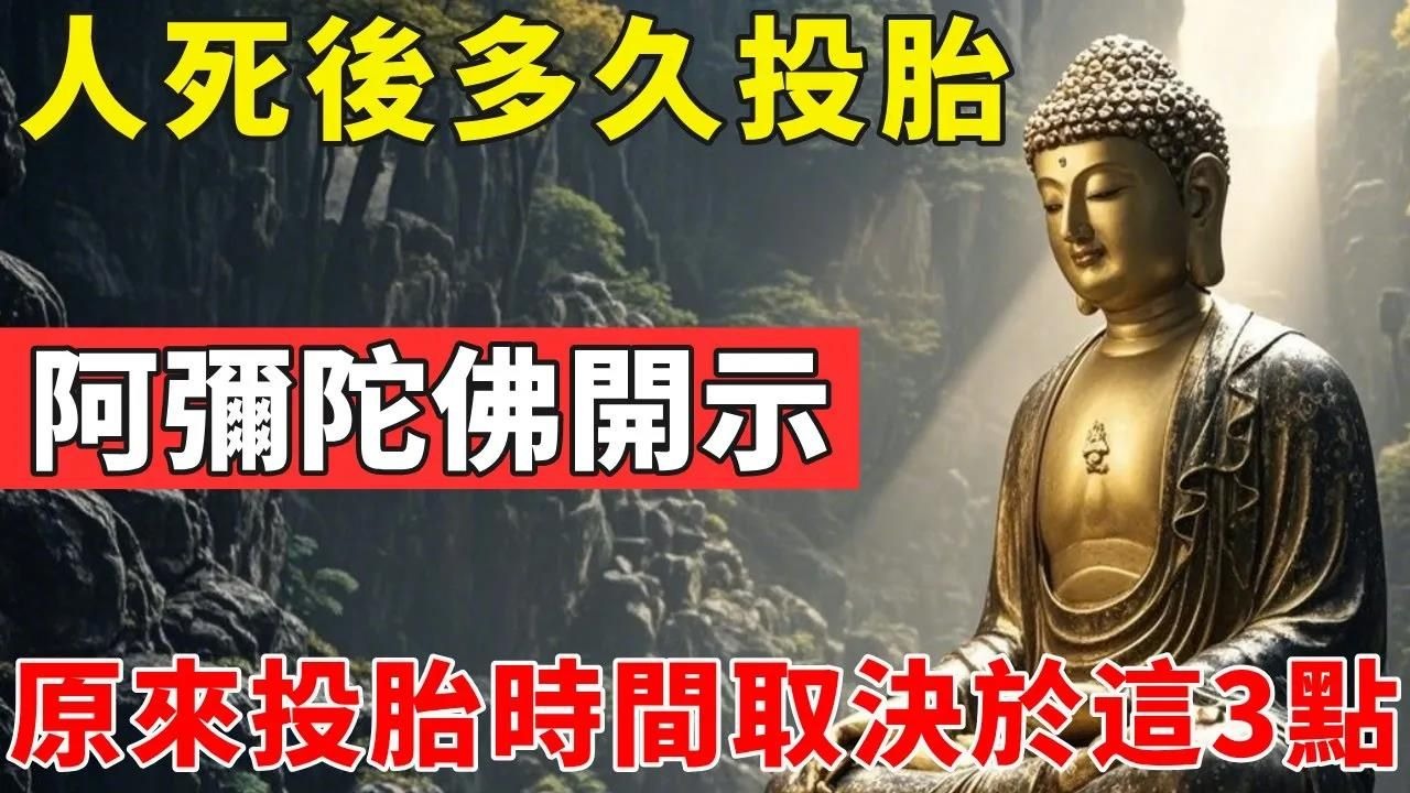 人死後多久投胎？阿彌陀佛開示：原來投胎時間取決於這3點！#佛光心境#佛陀#佛學#佛教#禪修#佛法智慧#佛教故事#佛教文化