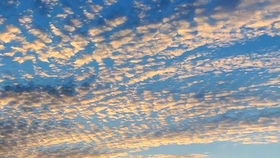 c39e84d42716534d01e9545b840619c3e3ae4cfa.jpg@280w_158h_1c_100q.jpg
