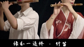 缘分一道桥曲谱_缘分一道桥简谱(2)