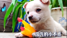 c3c51b2a77d95005d76d3d7bb03cf0f690e6b151.jpg@280w_158h_1c_100q.jpg