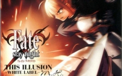 Fate Staynight This Illusion White Label 哔哩哔哩 つロ干杯 Bilibili