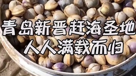 c4004e5e3d921ab1aeafe27a6956989e1a54240b.jpg@280w_158h_1c_100q.jpg
