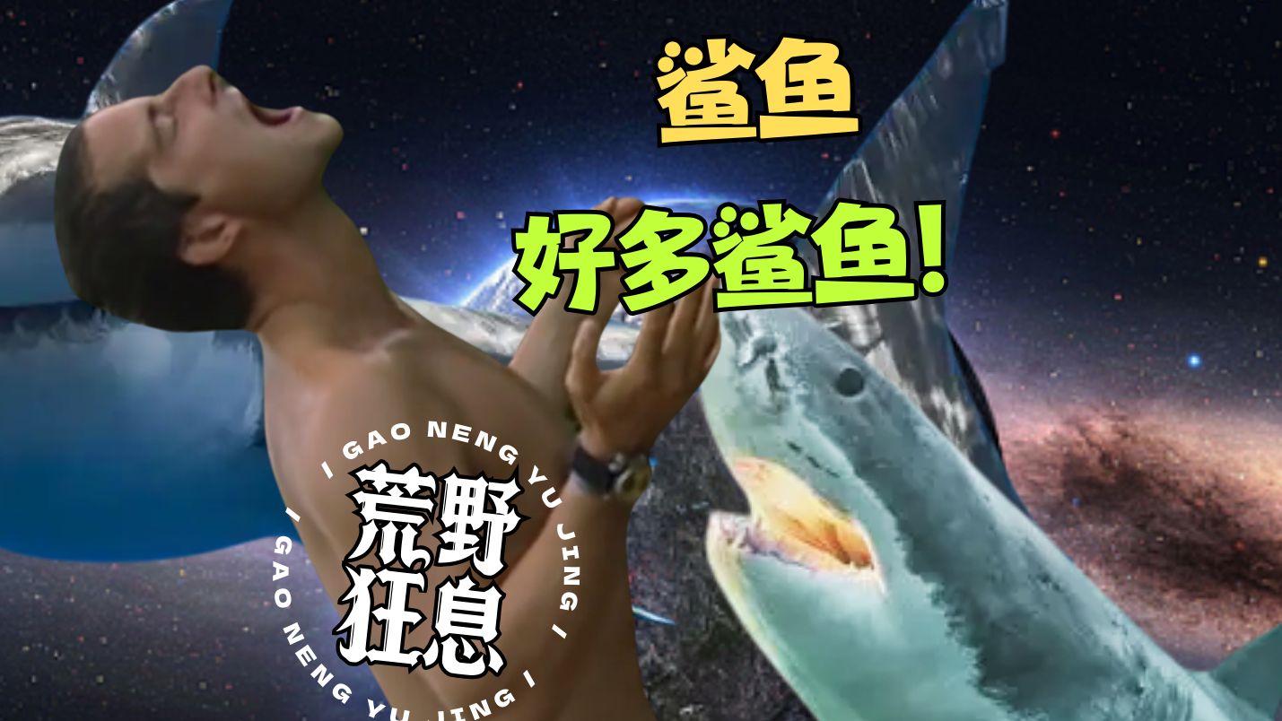 【贝而爷传说】好多鲨鱼🦈孤岛惊魂和回家一样简单🙌然后被鲨鱼吊打