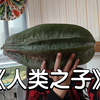 全网第二发！南瓜？巨型杨桃！大胆尝试做成干果