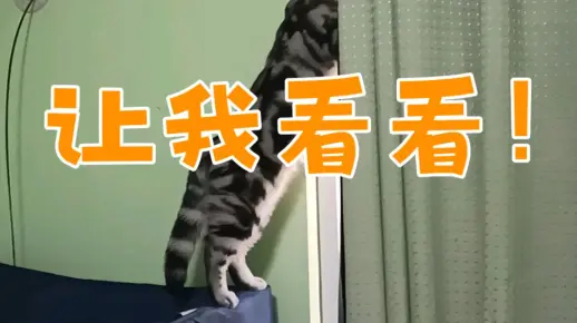 让 我 看 看！