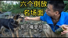 c444469a30d0b2042dbd9edb8f3e3fafbd758ec7.jpg@280w_158h_1c_100q.jpg