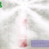 柜式（单瓶组）七氟丙烷灭火系统灭火视频演示