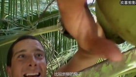 c45602ba9063d26c885da95f435ffa4ad74d9195.jpg@280w_158h_1c_100q.jpg