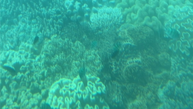 c46ce9334ff1ad5417a4d55aa72834775e8cc92b.jpg@280w_158h_1c_100q.jpg