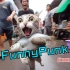【FunnyPunk】消灭你的不开心！国外趣味视频集锦#355