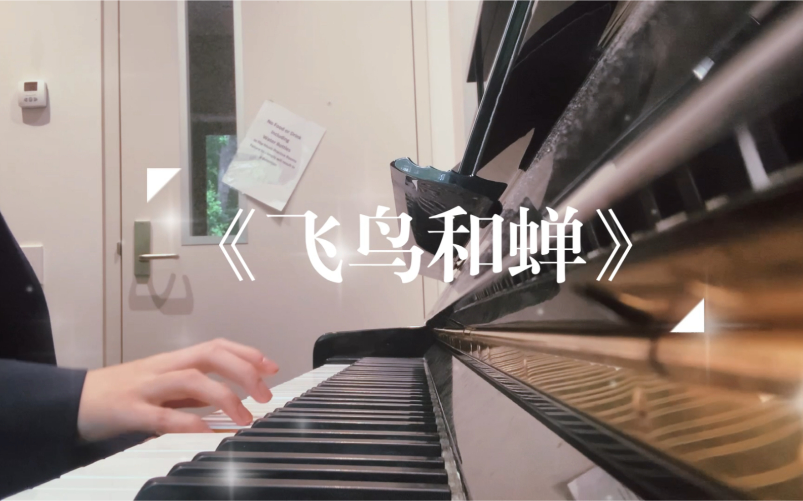 活动作品飞鸟和蝉钢琴版