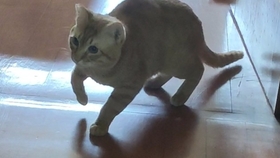 c48741b4c6661c387899fc49f3543beb7b771d3d.jpg@280w_158h_1c_100q.jpg