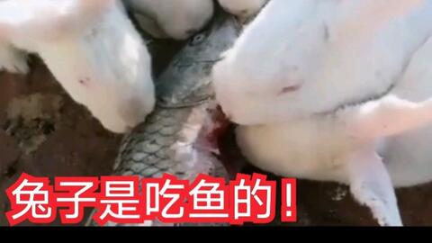 c4b86dbe24c860cf1eb52e066dcdffa6c13613af.jpg@480w_270h_1c