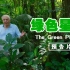 《地球脉动》金牌团队打造，BBC全新纪录片《绿色星球》