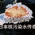 大型纪录片《日本核污染水传奇》