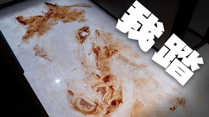 关于我在厨房不小心踏了一匹骏马这件小事...