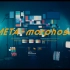 META-morphose