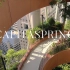 【亲生物设计】带有半空热带植物长廊和空中城市农场的摩天大楼 - 凯源中心CapitaSpring