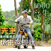 农场生存现状