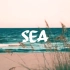 防弹少年团BTS-专辑隐藏曲-大海(ocean)完整版