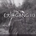 大唐Gang 2.0视频版