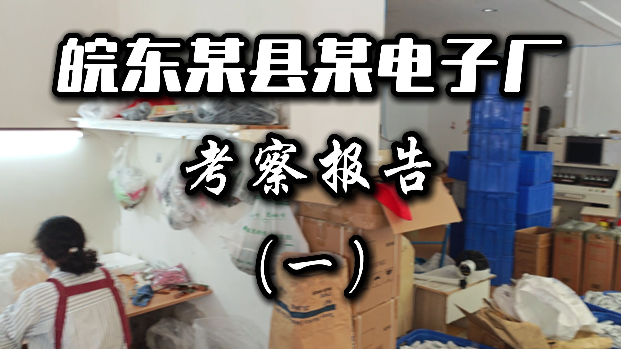 皖东某县某电子厂考察报告【电子厂 01】